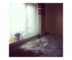 Single room/pojedynczy pokoj, on a quiet residential road very close to Hendon s - Grafika 1/3