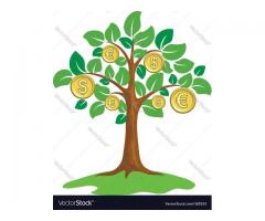 Drzewo Pieniędzy  - warsztat na temat obfitości, sukcesu i bogactwa  oparty o Ustawienia Rodzinne