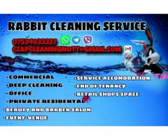 RABBIT CLEANING SERVICE