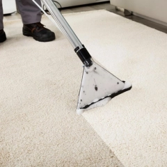 Parowe pranie dywanów (Carpet Cleaning)