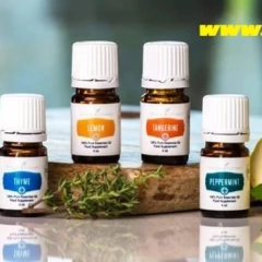 The Best Dietary Supplements for Health and Beauty