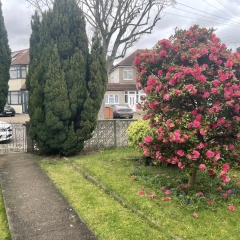 Mam do wynajęcia duży pokój 